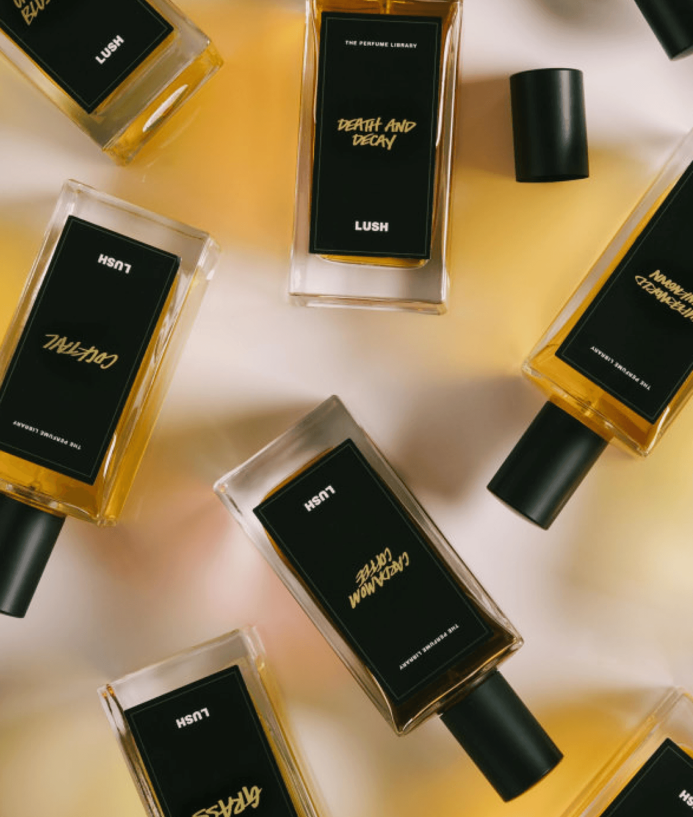 fragrance
